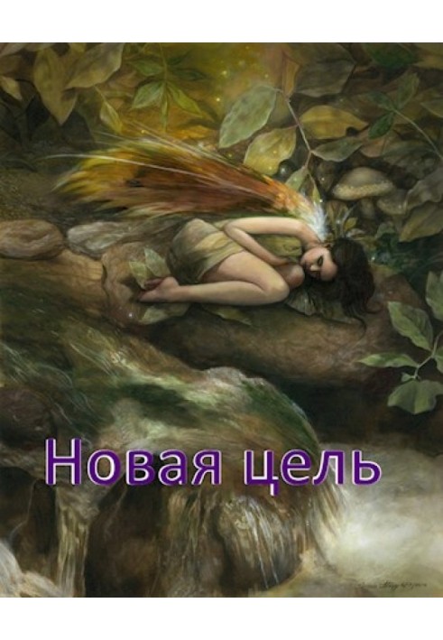 Новая цель