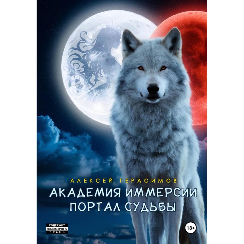 Immersion Academy: Portal...