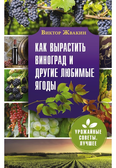 Як виростити виноград та інші улюблені ягоди