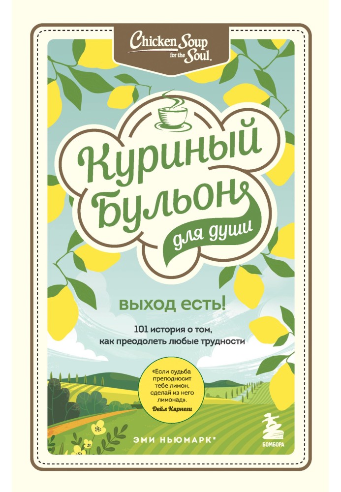 Курячий бульйон для душі. Вихід є! 101 історія про те, як подолати будь-які труднощі