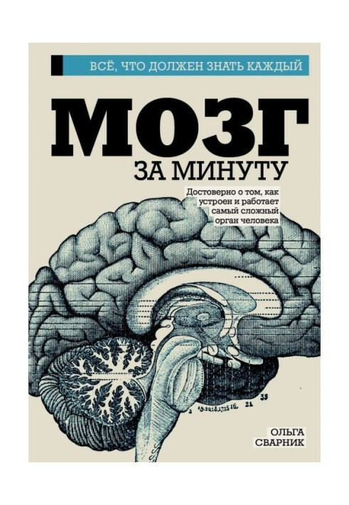 Мозг за минуту