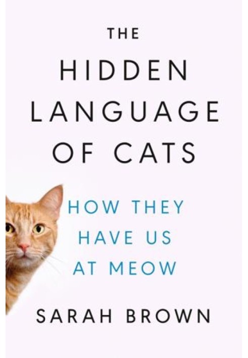 The Hidden Language of Cats: How They Have Us at Meow