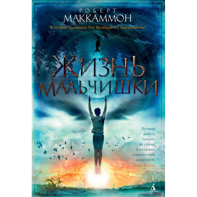 Жизнь мальчишки