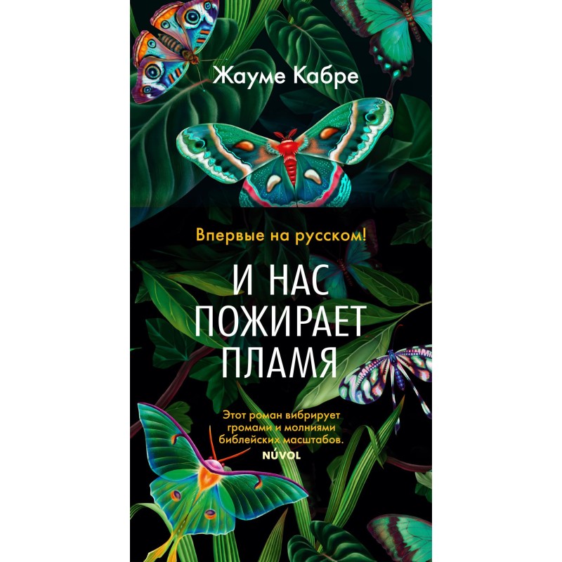 І нас пожирає полум'я