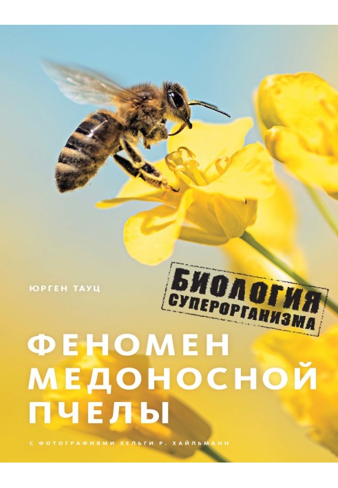 The phenomenon of the honey bee. Superorganism biology