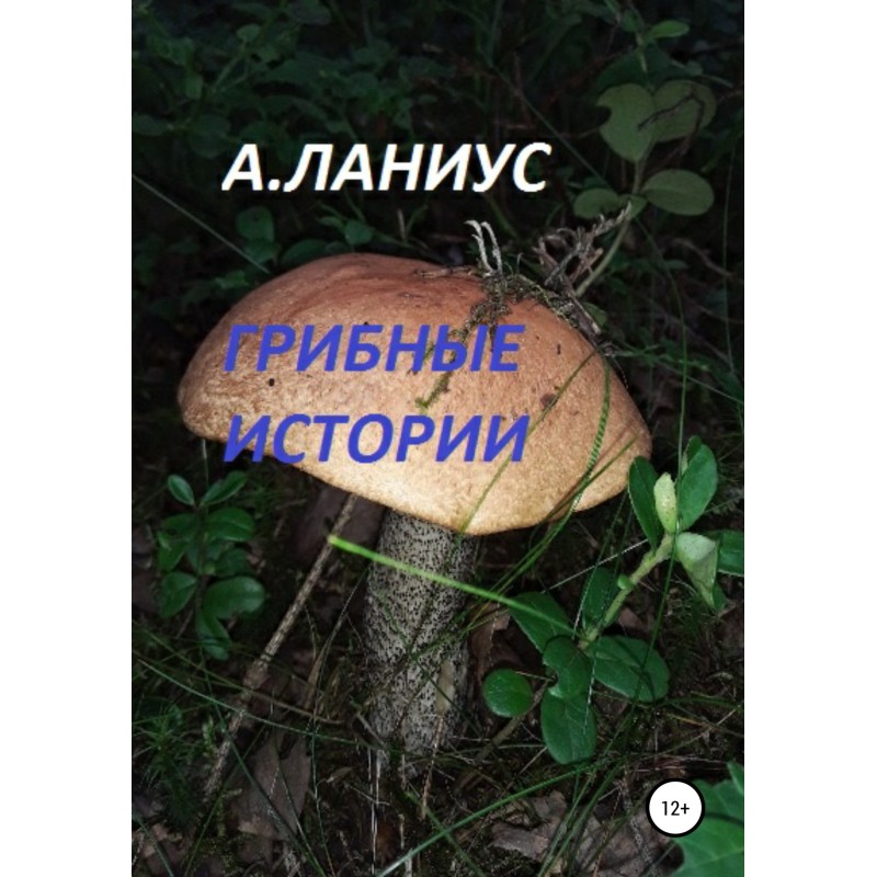 Грибные истории