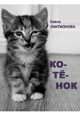 Kitty
