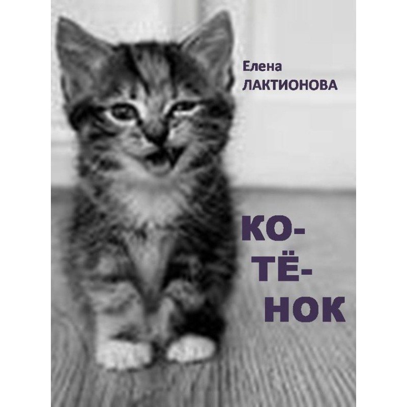 Kitty