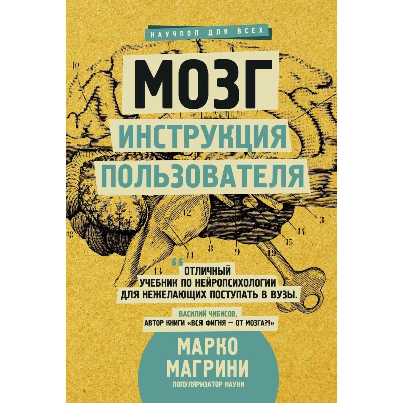 Brain. User's Manual