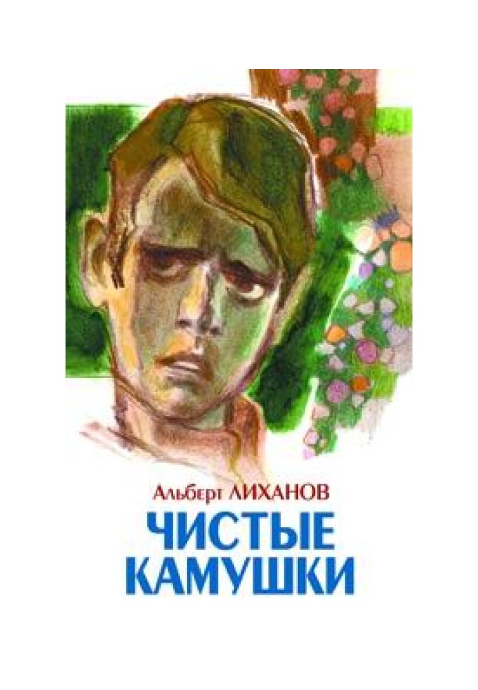 Чисті камінці