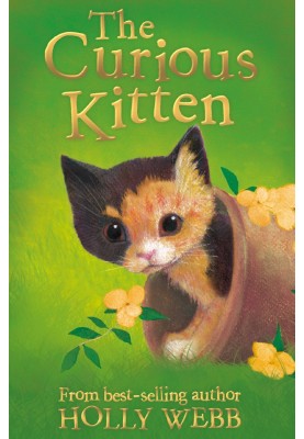 The Curious Kitten