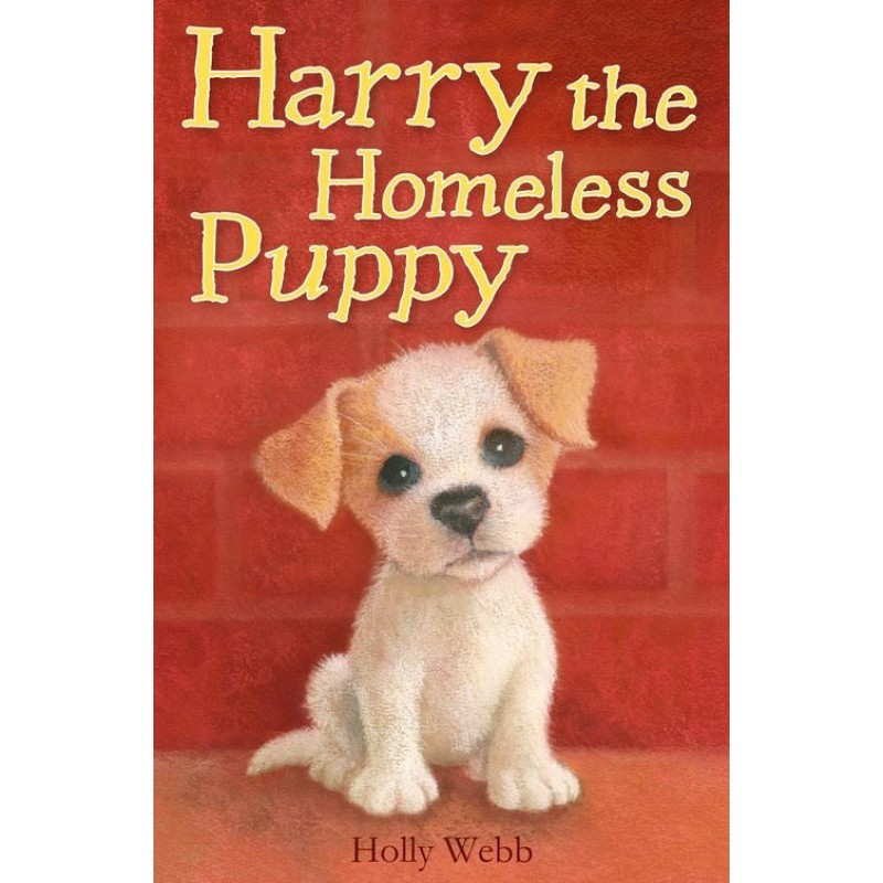 Harry the Homeless Puppy