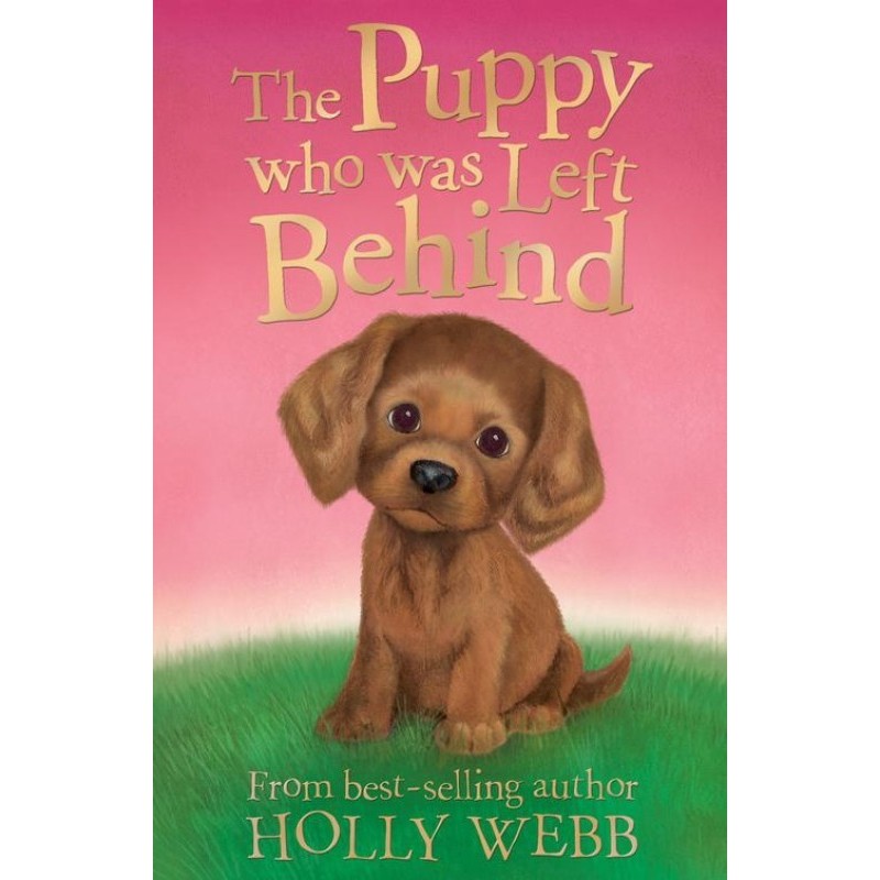 The Puppy who was Left Behind