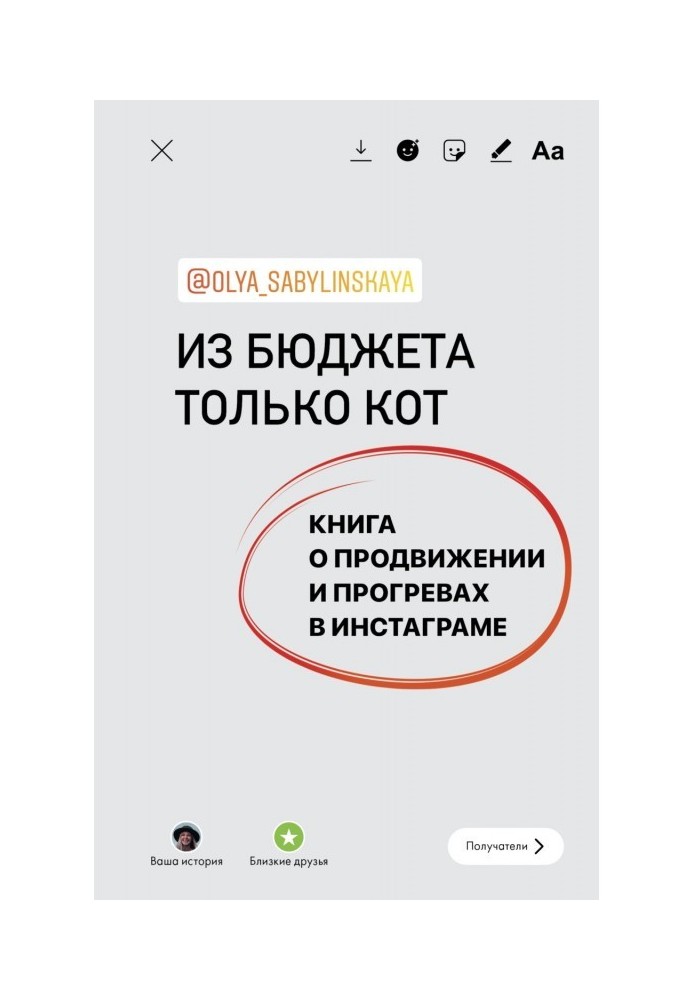 З бюджету лише кіт. Книга про просування та прогрівання в інстаграмі