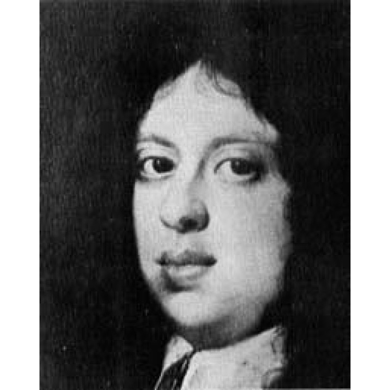 The Rise and Fall of the...