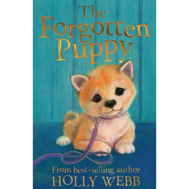 The Forgotten Puppy
