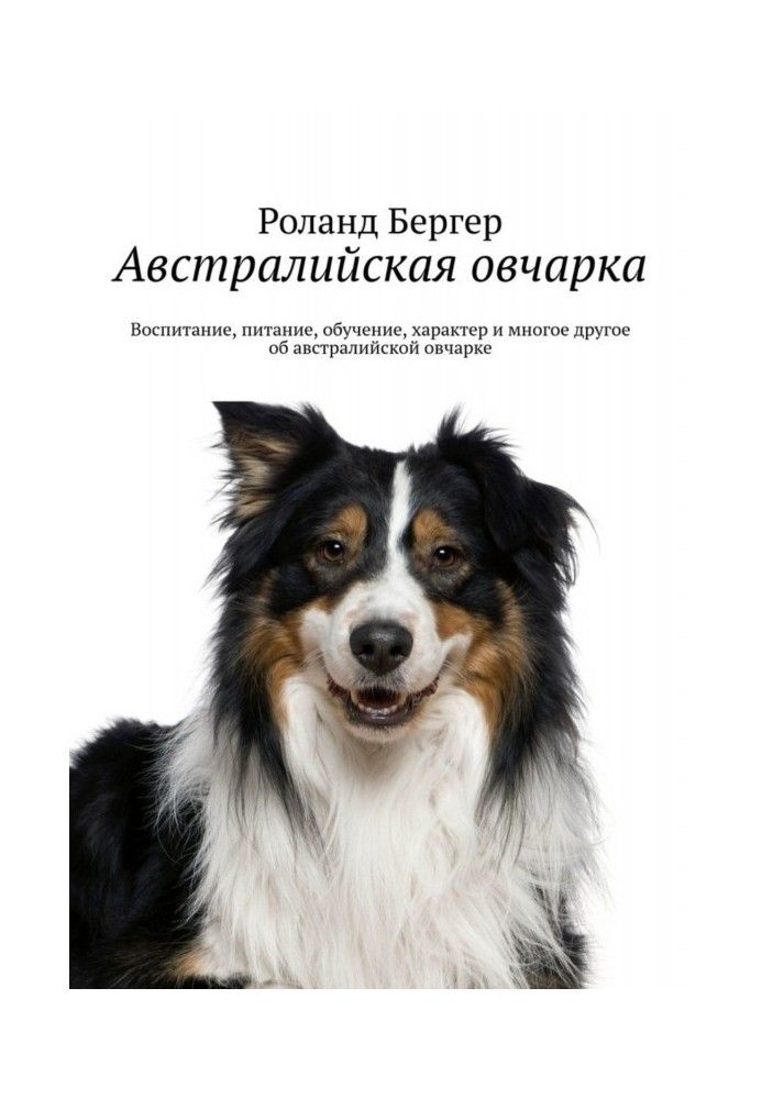 Австралийская овчарка. Воспитание, питание, обучение, характер и многое другое об австралийской овчарке