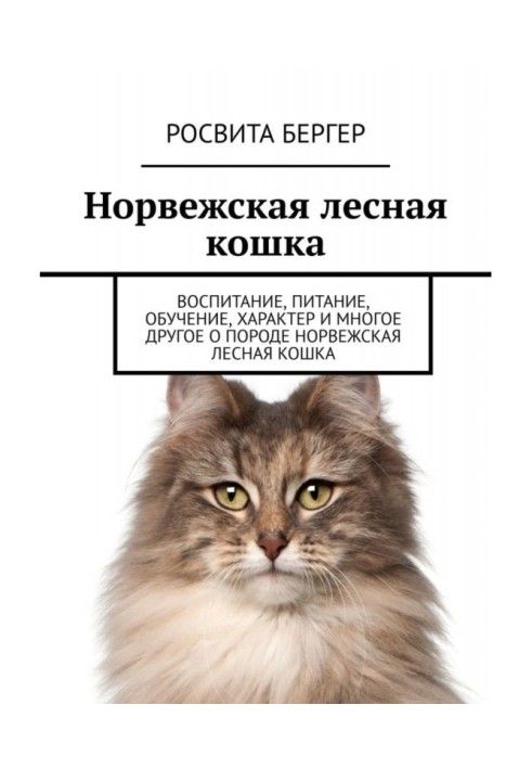 Norwegian forest cat. Education, nutrition, training, character and much more about the Norwegian Forest cat breed