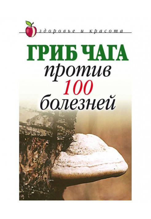 Mushroom of чага against 100 illnesses