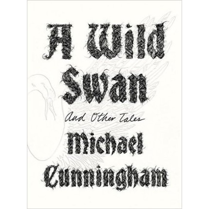 A Wild Swan: And Other Tales