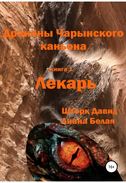 Дракони Чаринського каньйону. Книга 1. Лікар