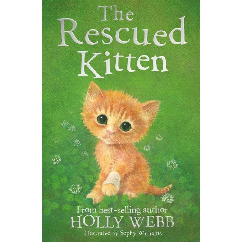 The Rescued Kitten