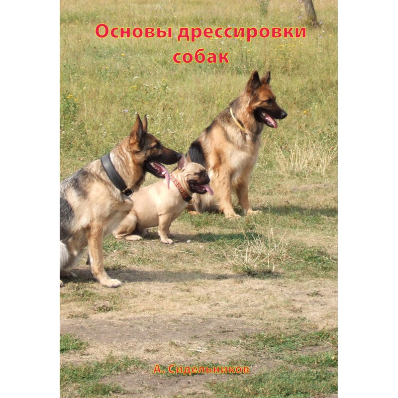 Основы дрессировки собак
