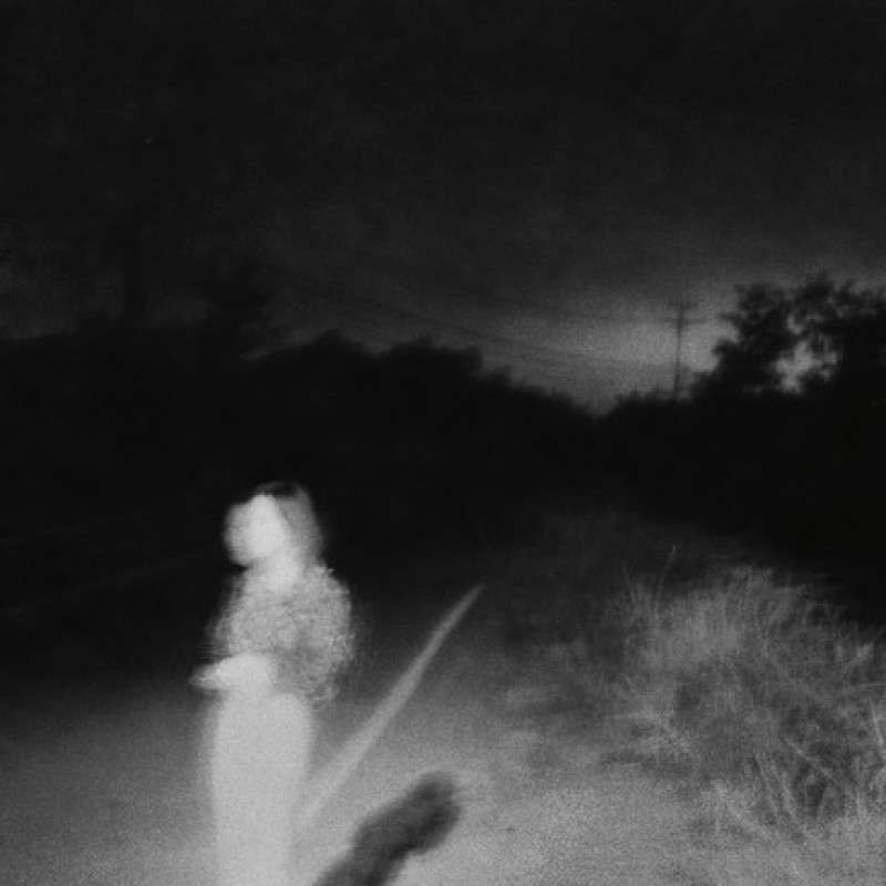 Біла лошадь