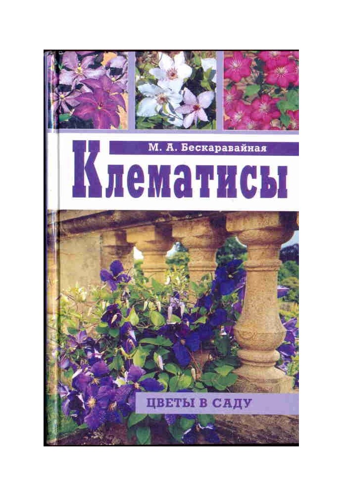 Клематисы