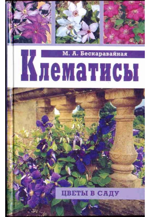 Клематисы