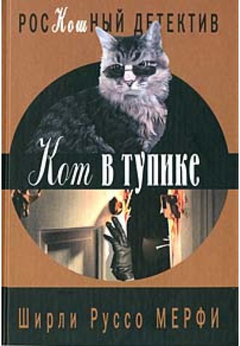 Кот в тупике