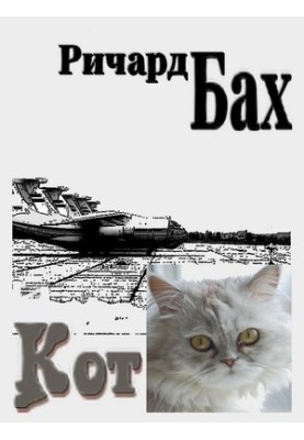 Кіт