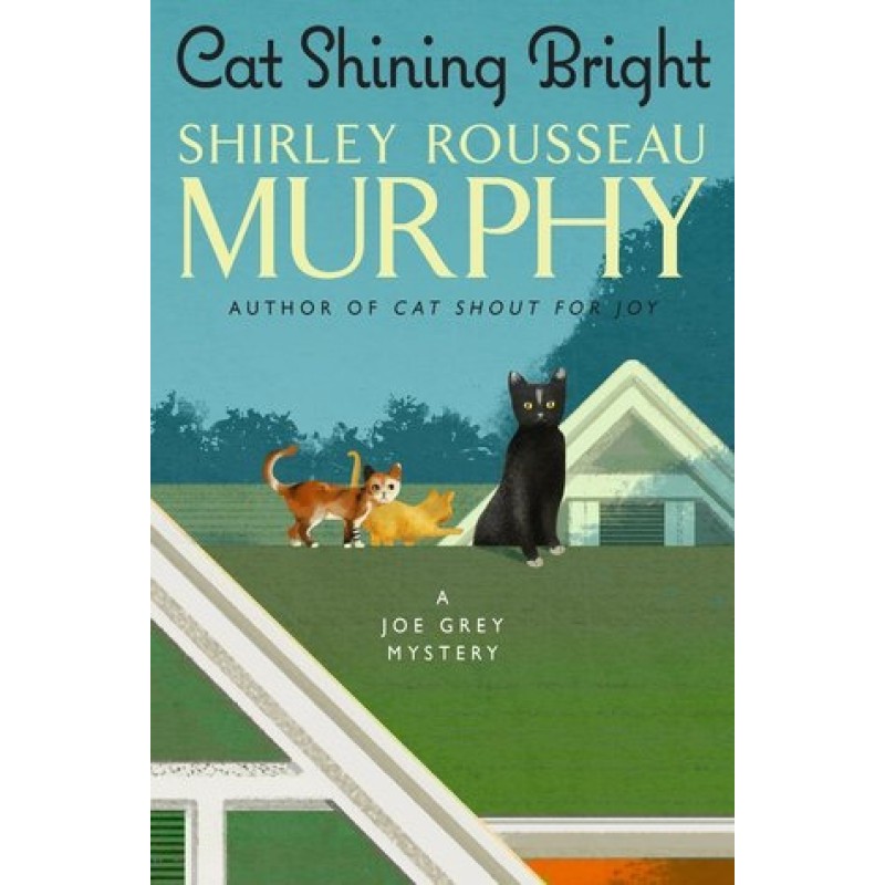 Cat Shining Bright