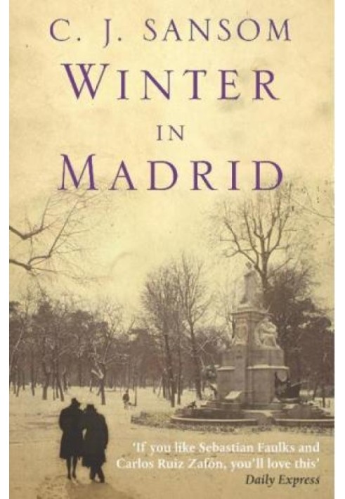 Winter in Madrid