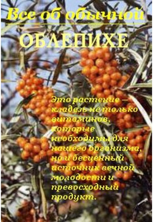 All about ordinary sea buckthorn