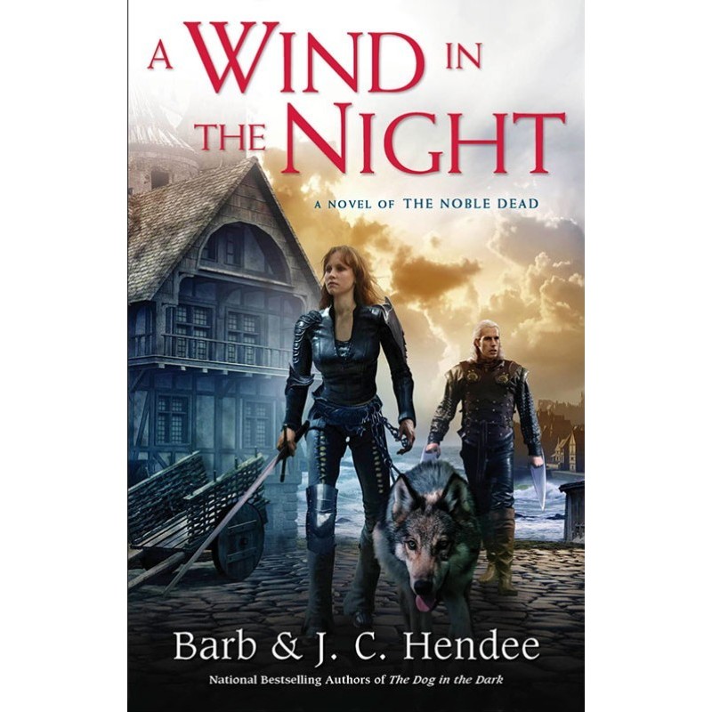 Wind in the Night (LP)
