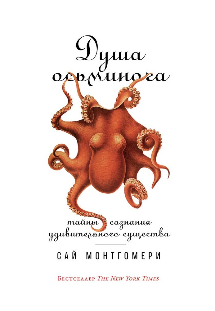 Octopus soul