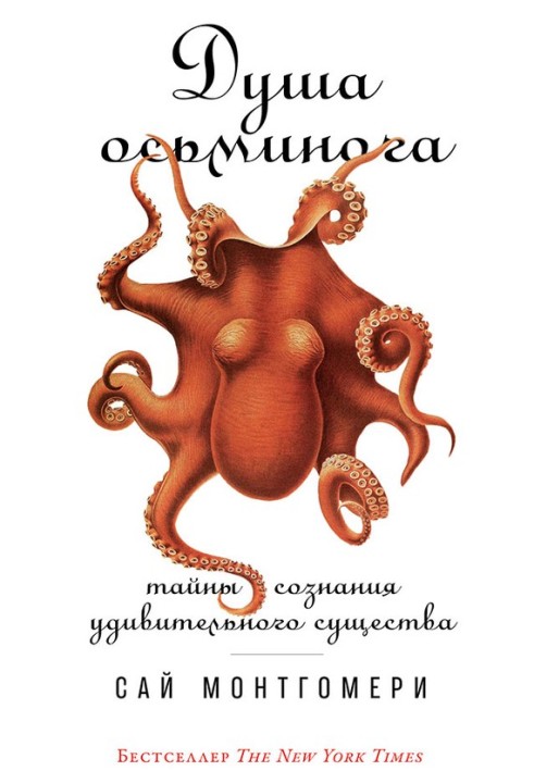 Octopus soul