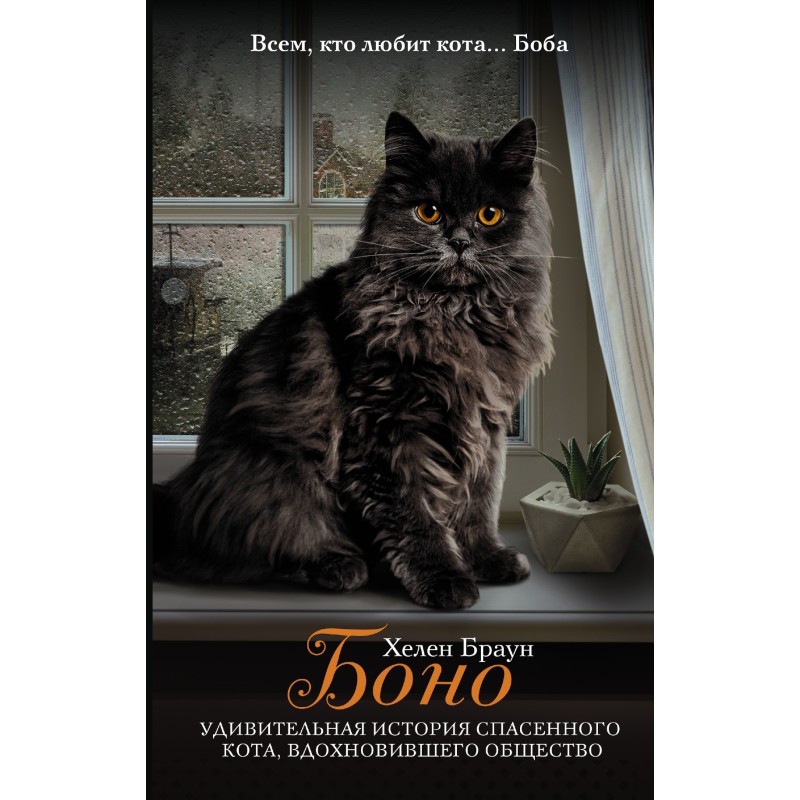 Bono. The amazing story of...