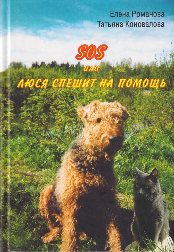 SOS, або Люся поспішає на допомогу