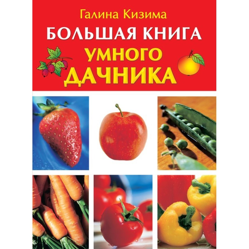 The big book of a smart...