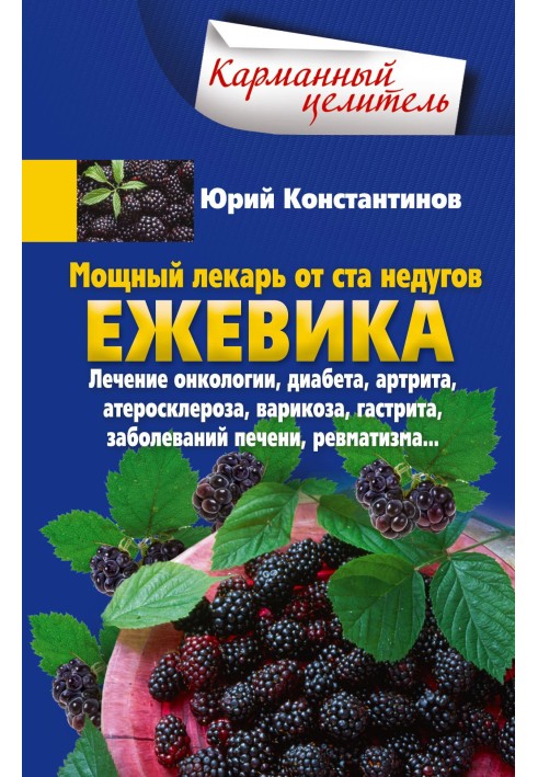 Потужний лікар від ста недуг. Ожина. Лікування онкології, діабету, артриту, атеросклерозу, варикозу, гастриту, захворювань печін