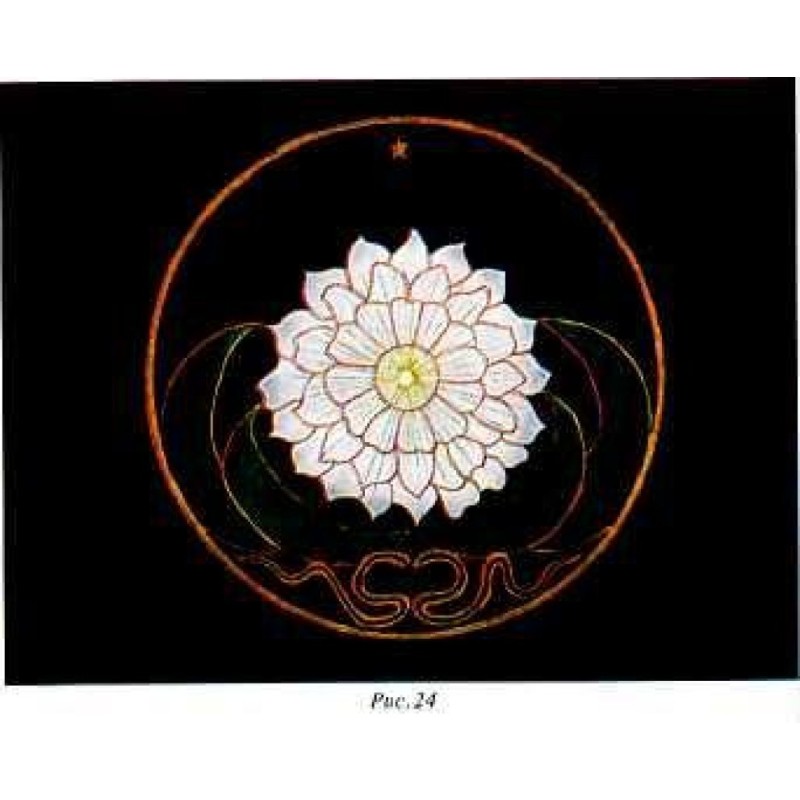 Study of the individuation...