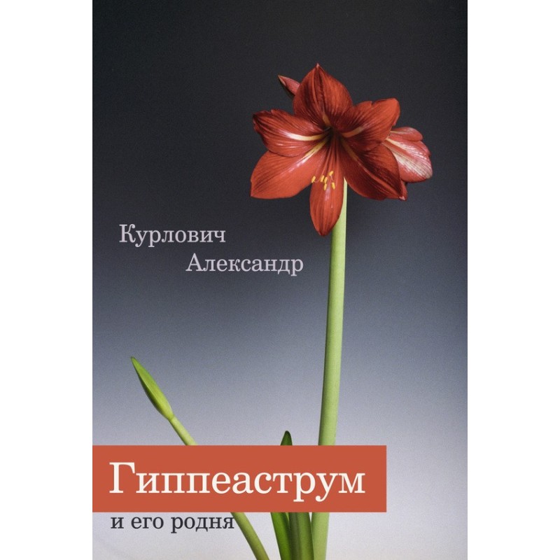 Hippeastrum and its relatives