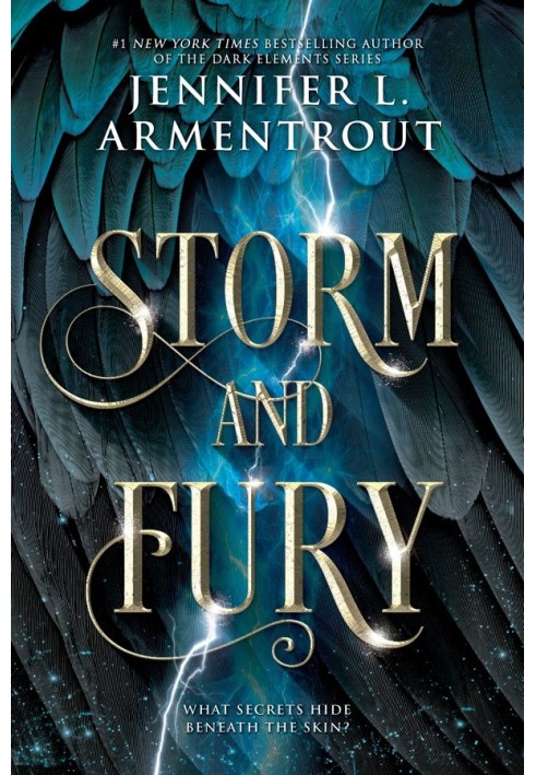 Storm and Fury