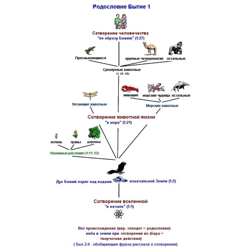 Creationism. How God did...