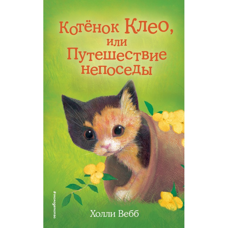 Kitten Cleo, or the Journey...