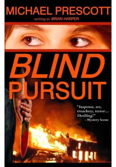 Blind Pursuit