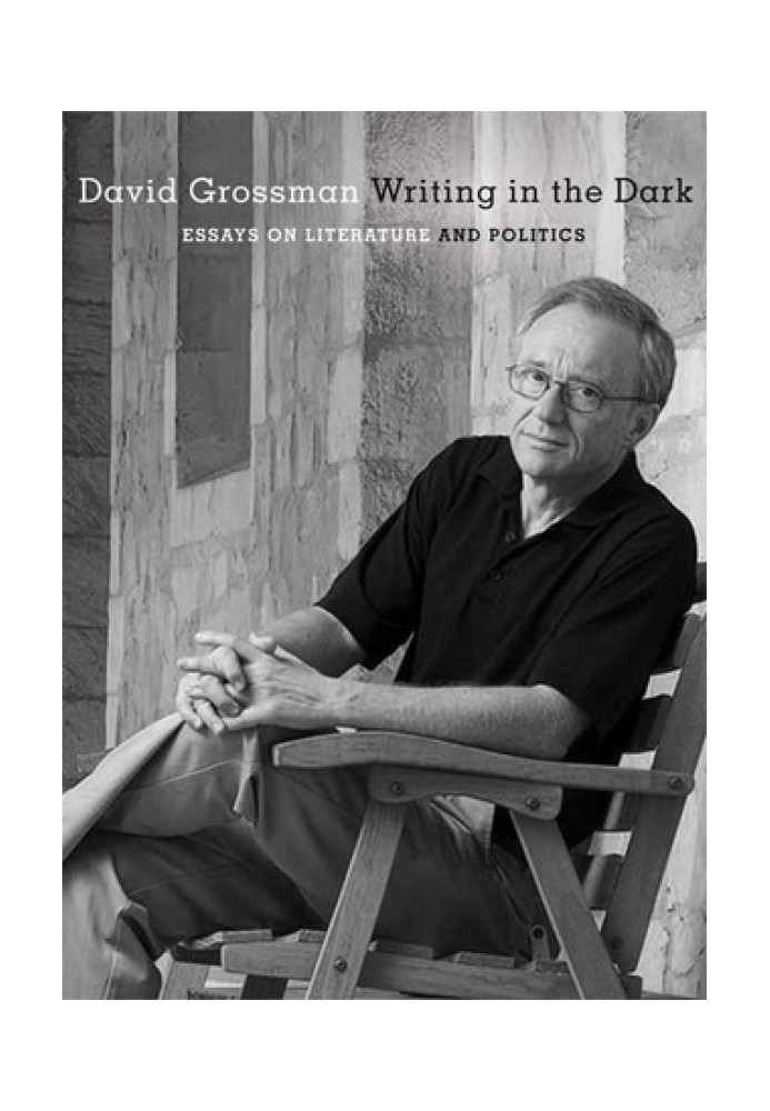 Writing in the Dark: Essays on Literature and Politics