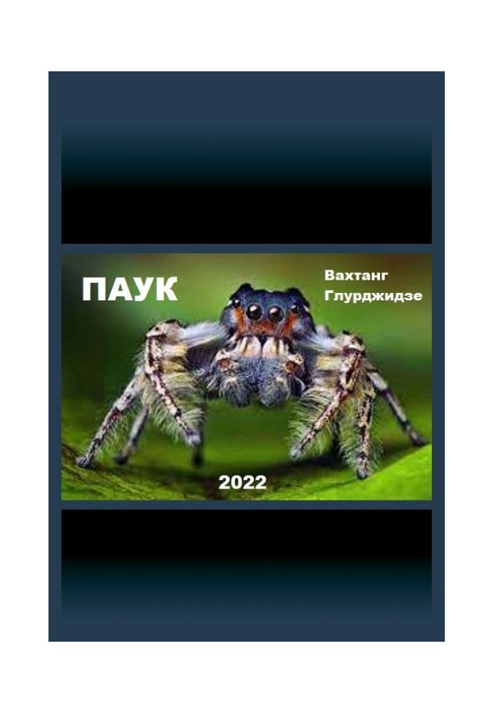 Паук